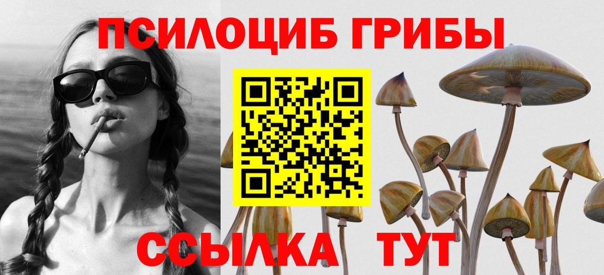 Псилоцибиновые грибы Psilocybe  Вход с VPN  Кемерово 