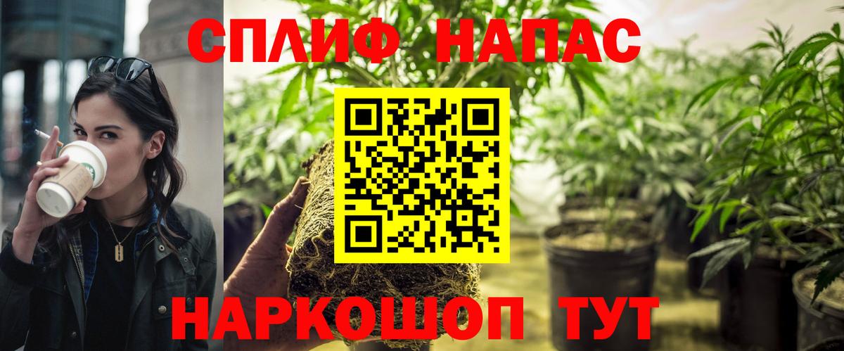 Кемерово  Канабис VHQ  Каннабис OG Kush  Вход с VPN  Каннабис MAZAR 